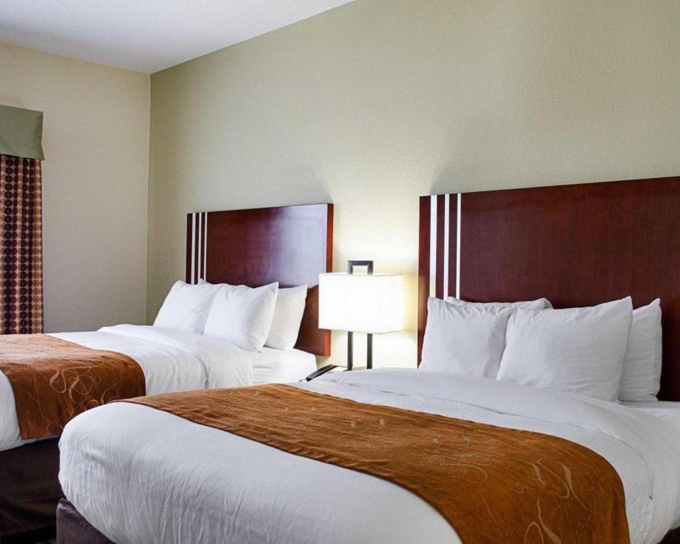 Comfort Suites Greenwood Exteriér fotografie