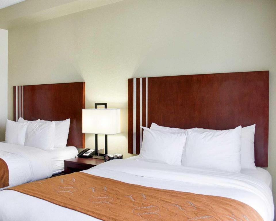 Comfort Suites Greenwood Exteriér fotografie